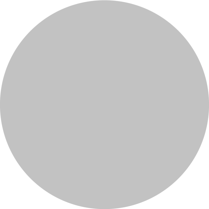 Blank Canvas Grey Circle PNG Image