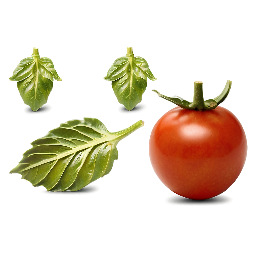 Blistered Tomatoes Png 06212024 PNG Image