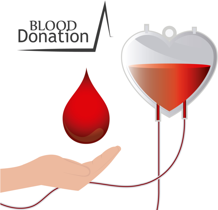 Blood Donation Concept Illustration PNG Image