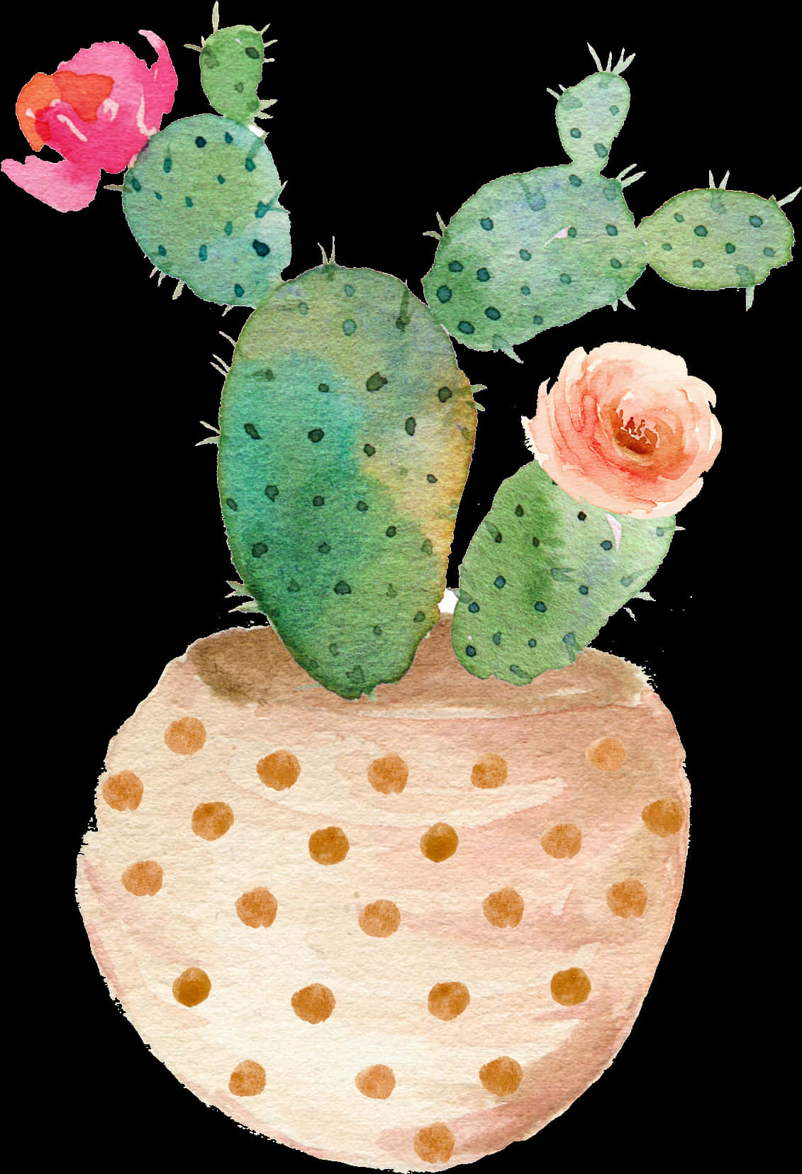 Blooming Cactus Watercolor Art PNG Image