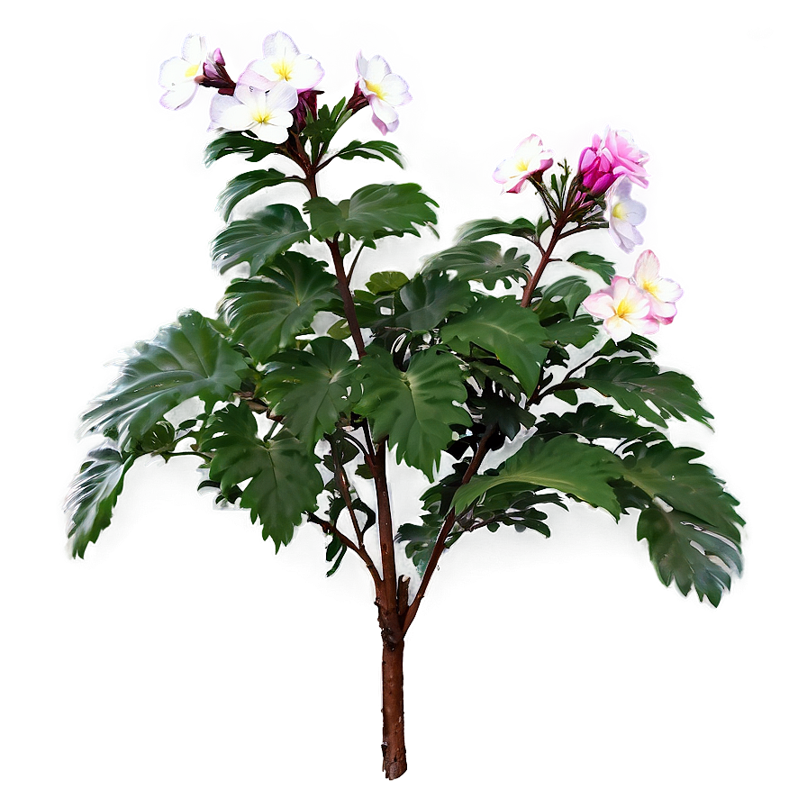 Blooming Flower Bush Png Dps88 PNG Image