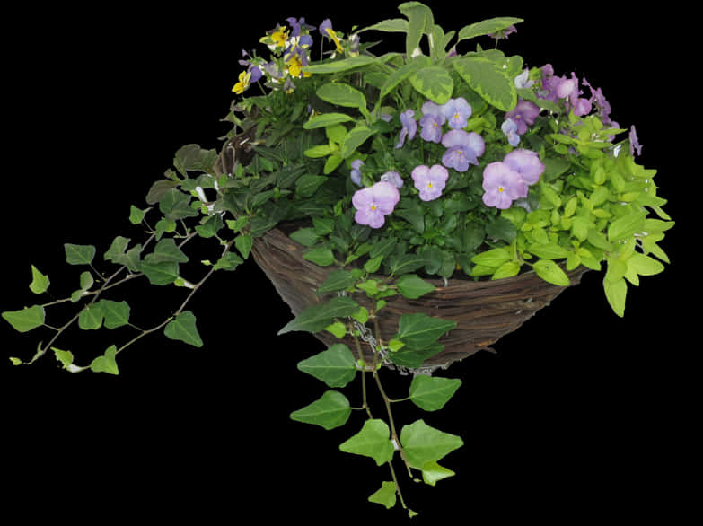 Blooming Hanging Basket Floral Display PNG Image