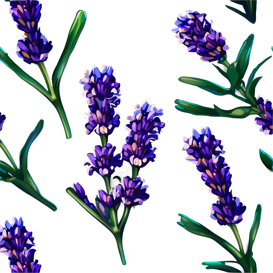 Blooming Lavender Png Uct11 PNG Image