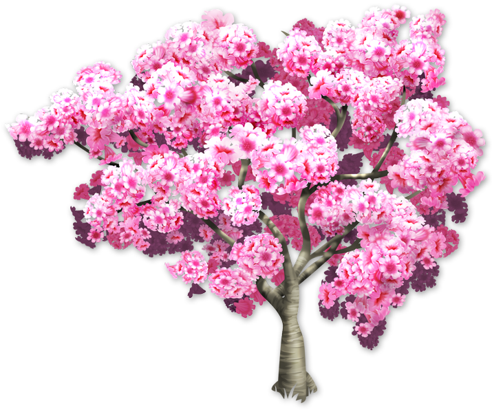 Blooming Pink Cherry Blossom Tree PNG Image