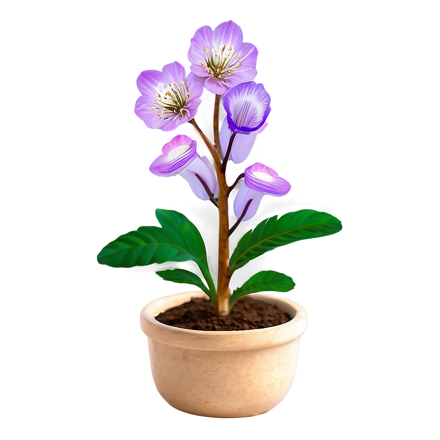 Blooming Small Plant Png 3 PNG Image