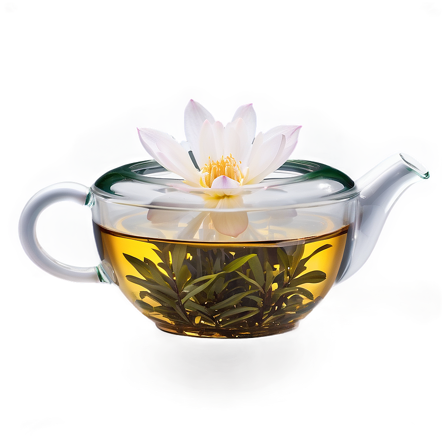 Blooming Tea Flower Png 05242024 PNG Image