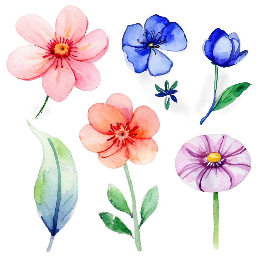 Blooming Watercolor Flowers Png Nml62 PNG Image