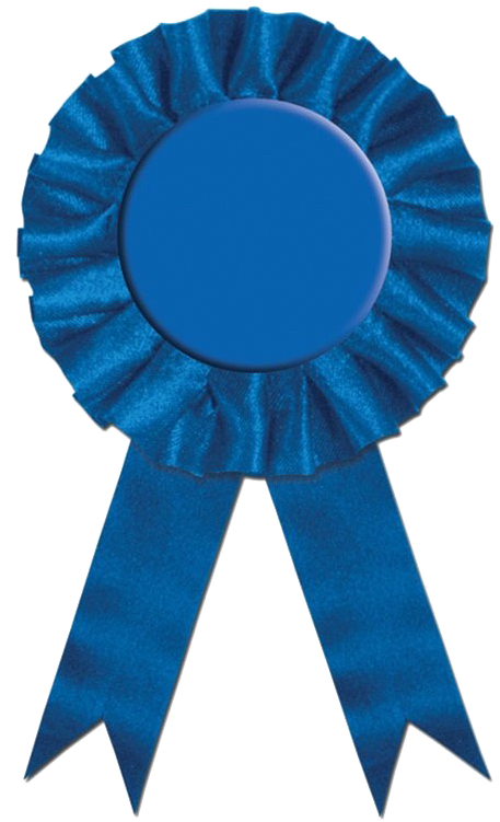 Blue Award Ribbon Blank Center PNG Image