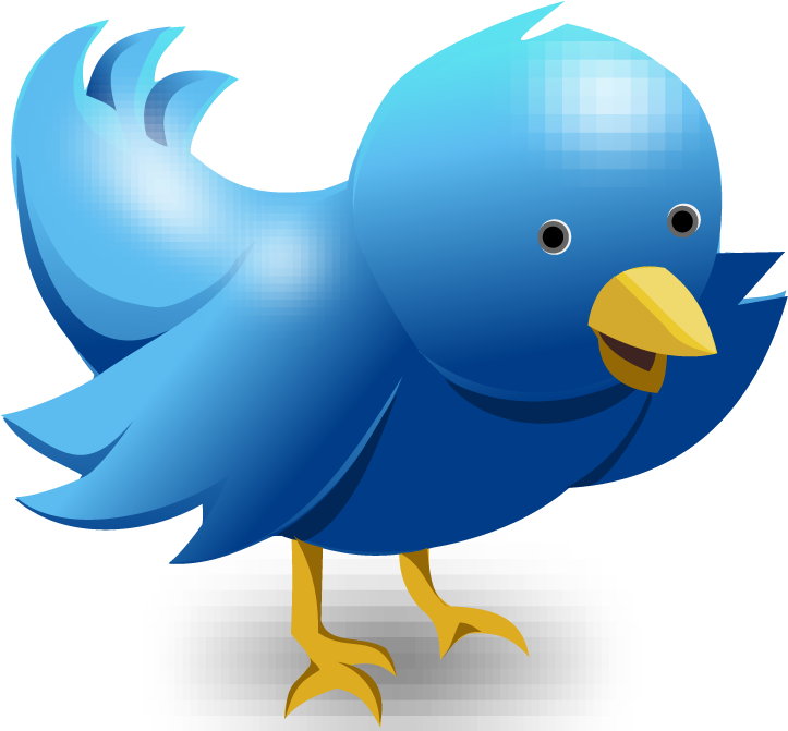 Blue Bird Cartoon Character PNG Image