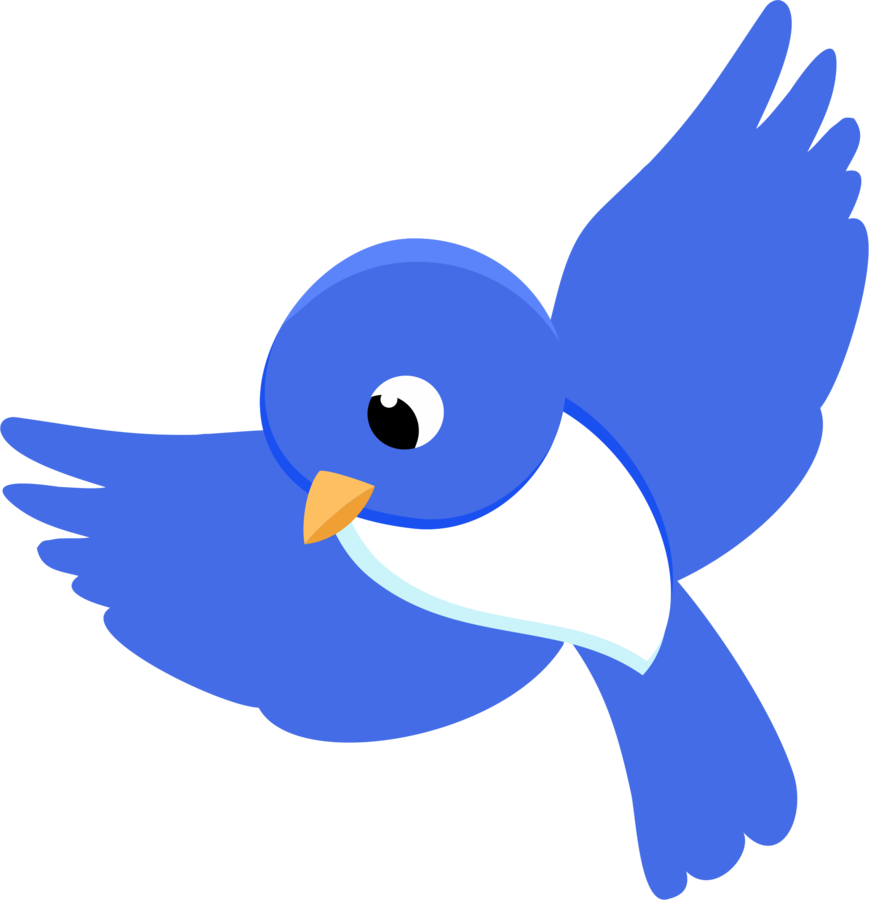 Blue Bird Cartoon Graphic PNG Image