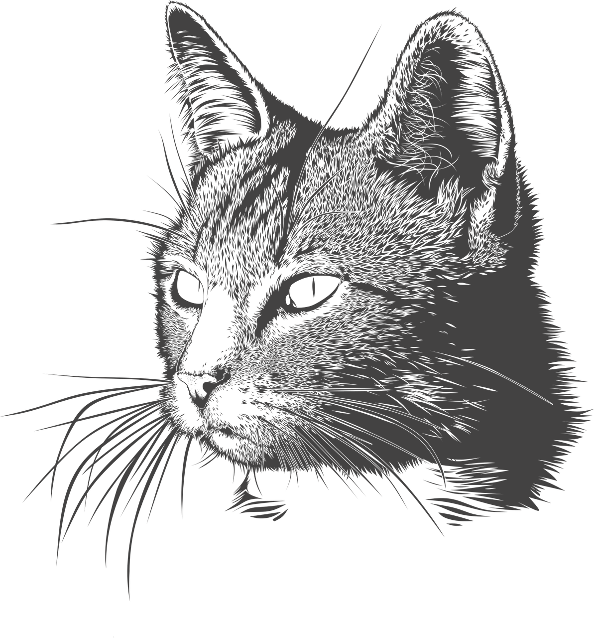 Blue Black Cat Drawing PNG Image