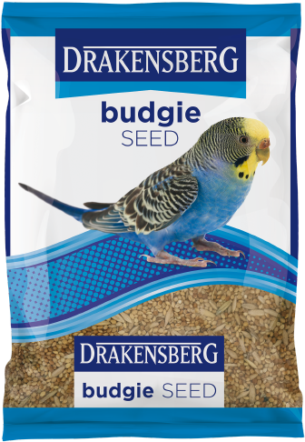 Blue Budgie On Seed Package PNG Image