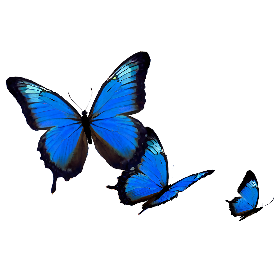 Blue Butterflies Silhouette Png Uyc50 PNG Image