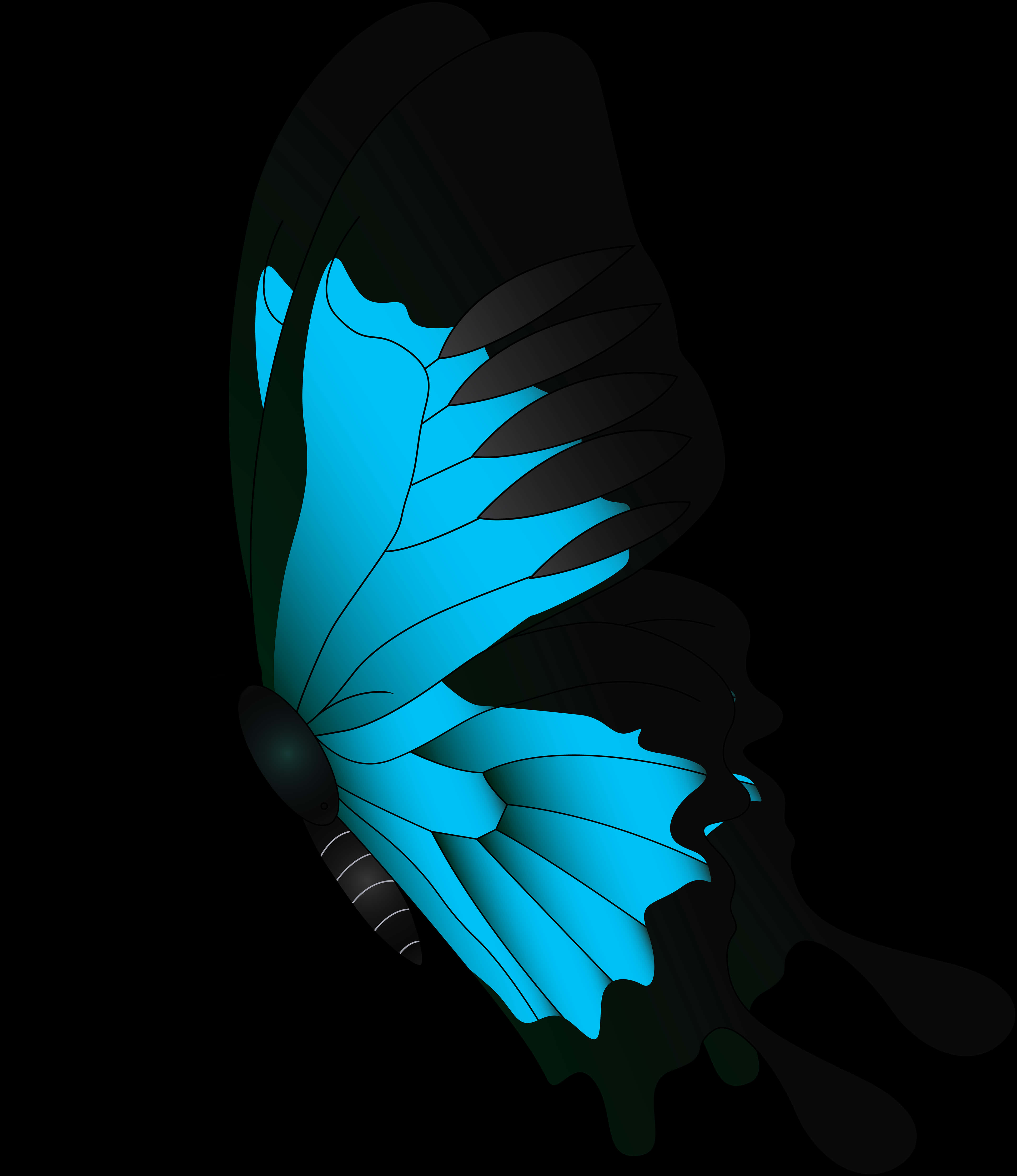 Blue Butterfly Graphic Art PNG Image