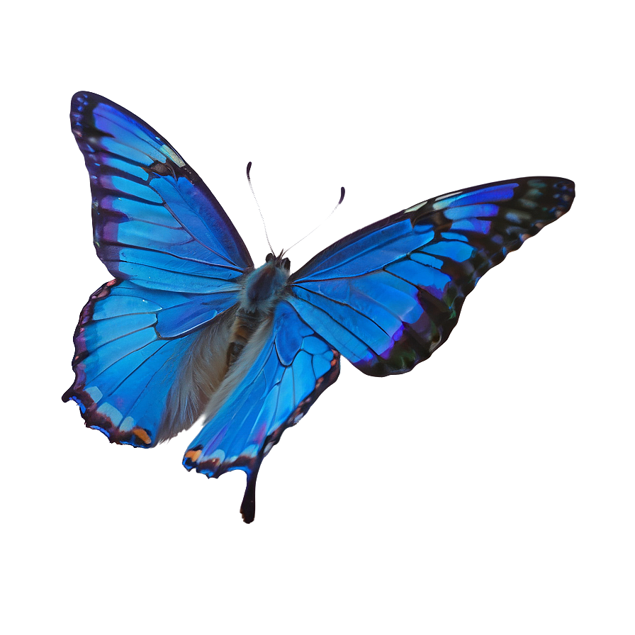 Blue Butterfly In Flight Png 21 PNG Image