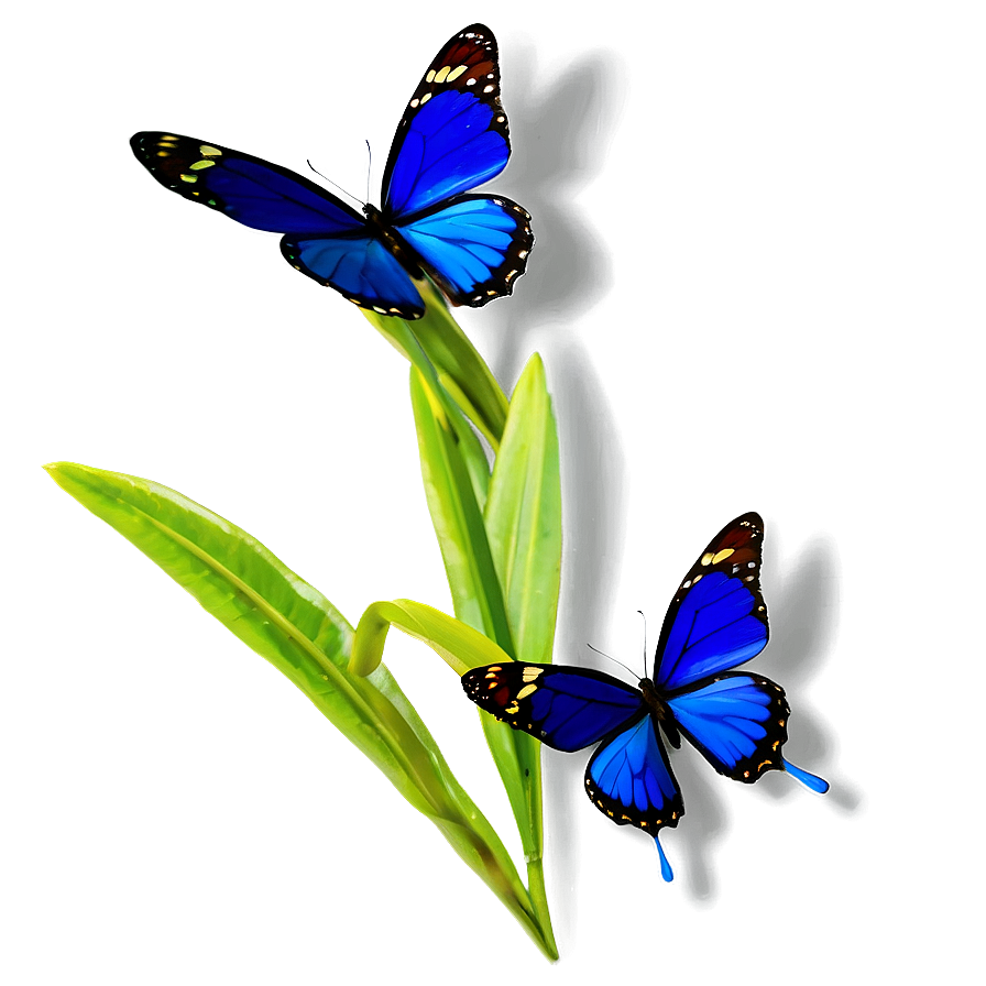 Blue Butterfly On Flower Png Qkr PNG Image