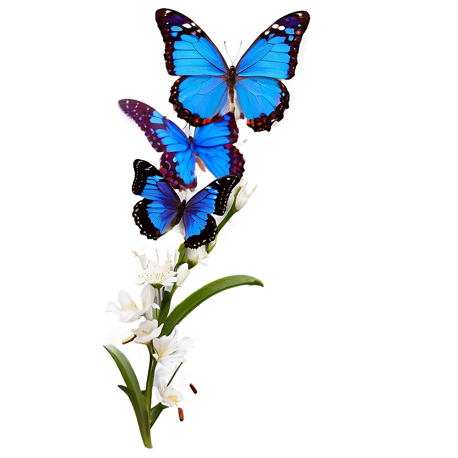 Blue Butterfly On White Png 05212024 PNG Image