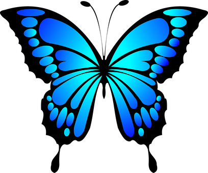 Blue Butterfly Vector Art PNG Image