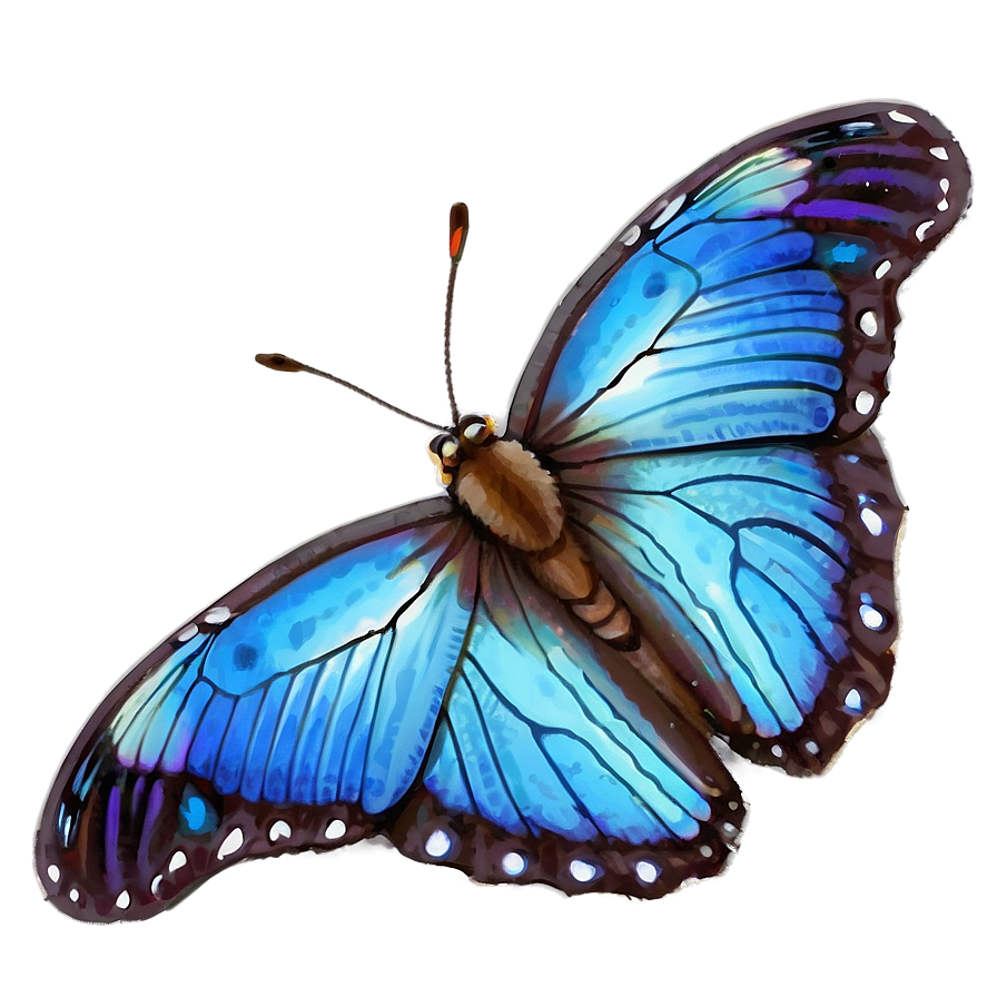 Blue Butterfly Wings Detail Png Qqe6 PNG Image