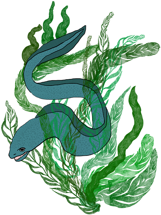 Blue Eel Among Seaweed Illustration PNG Image