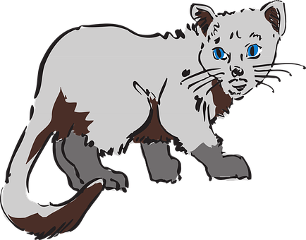 Blue Eyed Cat Illustration.png PNG Image