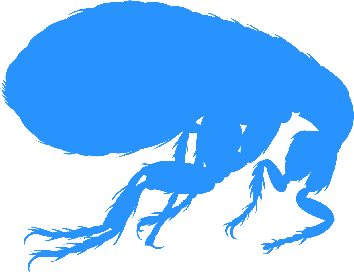 Blue Flea Silhouette PNG Image