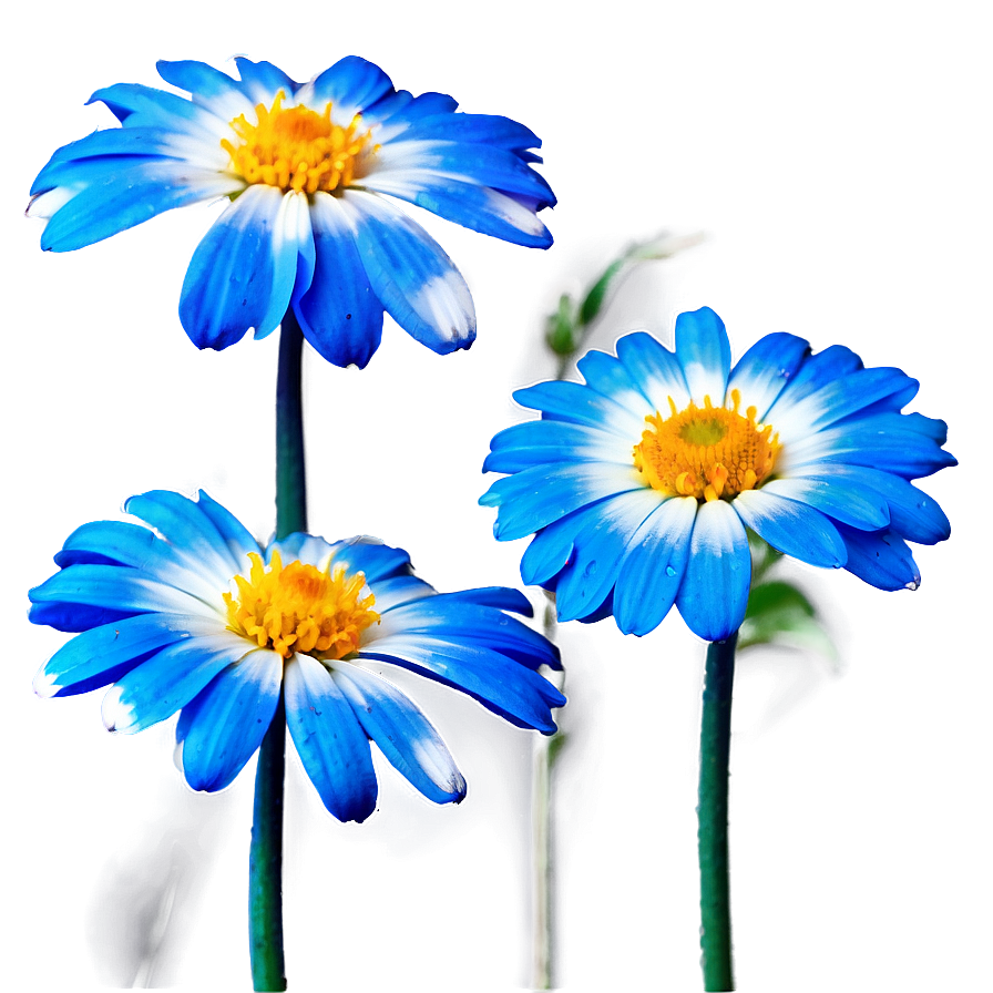 Blue Flower Closeup Png Lrg32 PNG Image