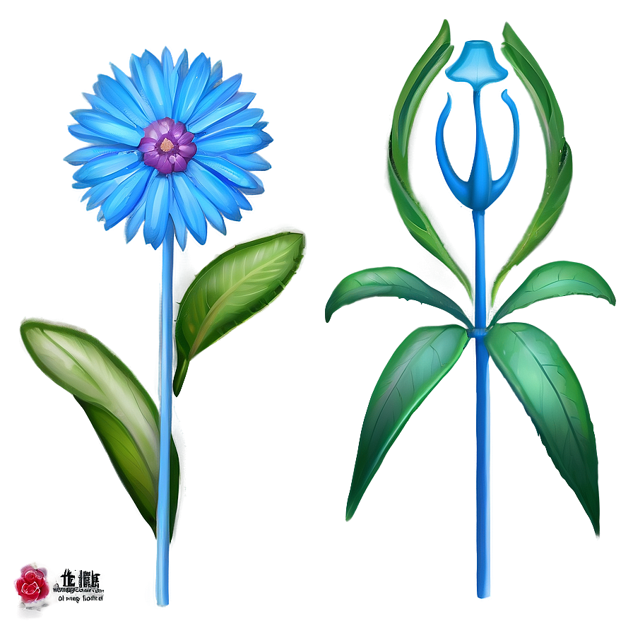 Blue Flower Portrait Png Man78 PNG Image