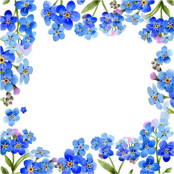 Blue Forget Me Not Floral Frame PNG Image