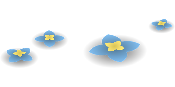 Blue Forget Me Nots Black Background PNG Image