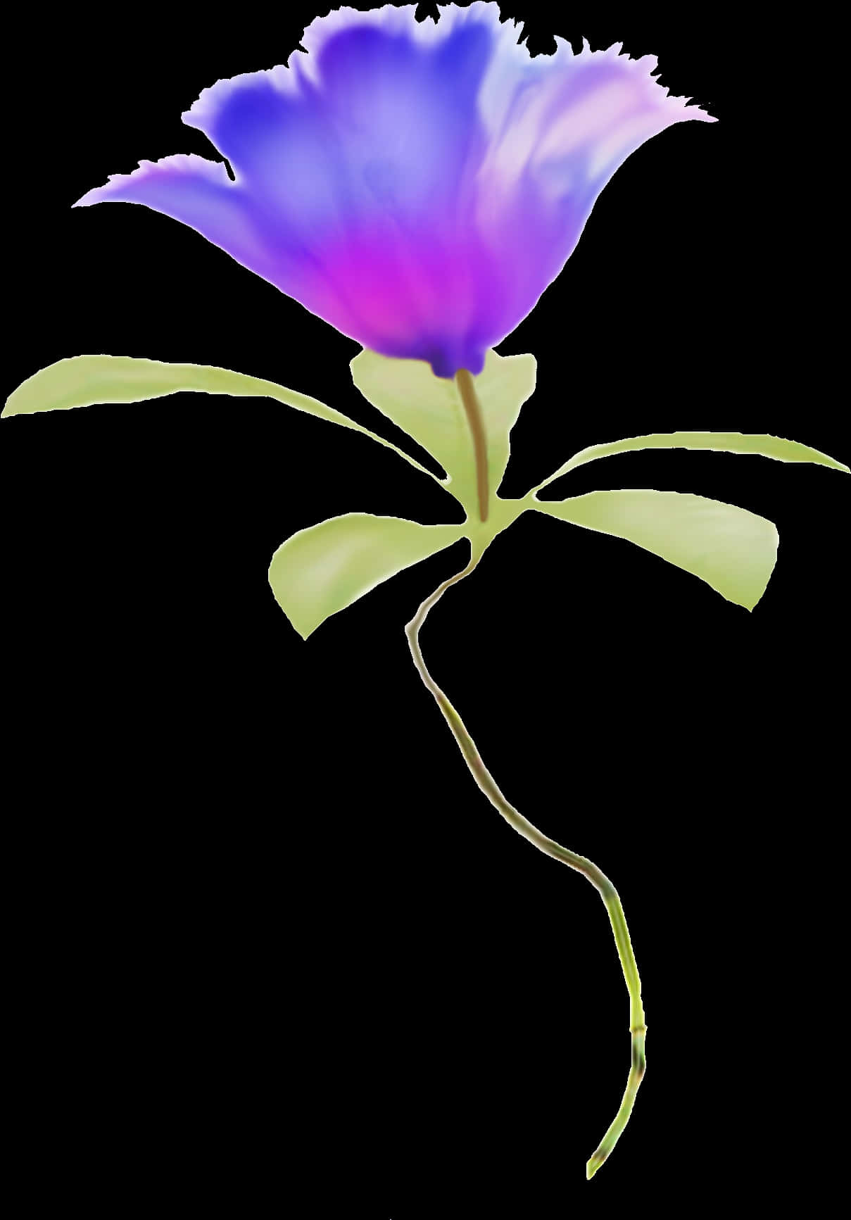 Blue Gradient Single Flower PNG Image