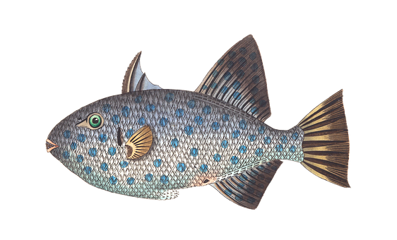 Blue Patterned Tropical Fish PNG Image