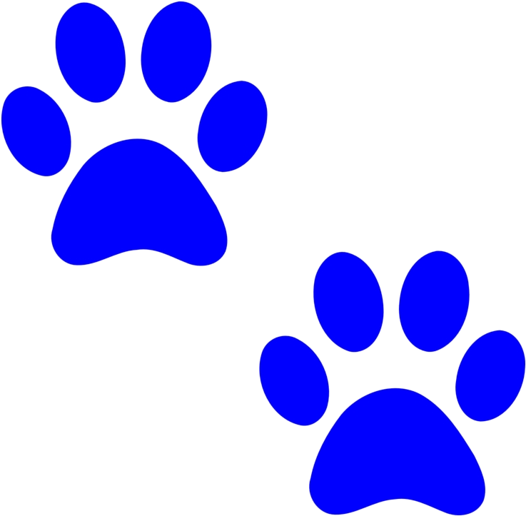 Blue Paw Prints Graphic PNG Image