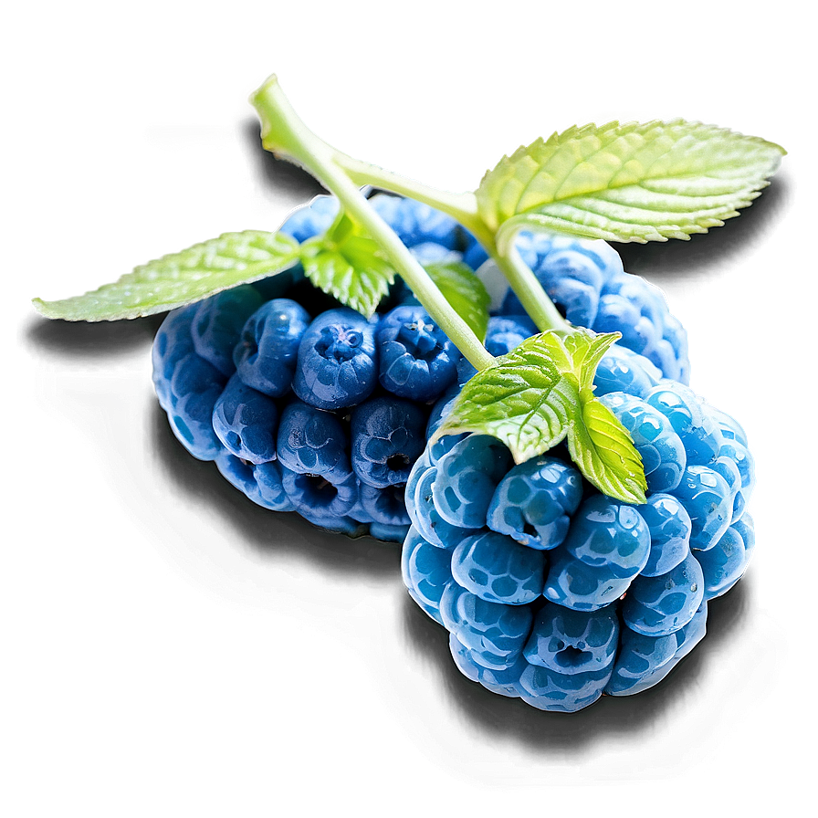 Blue Raspberry Zen Png 58 PNG Image