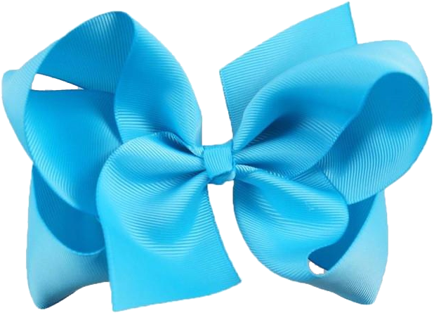 Blue Ribbon Bow Isolated PNG Image