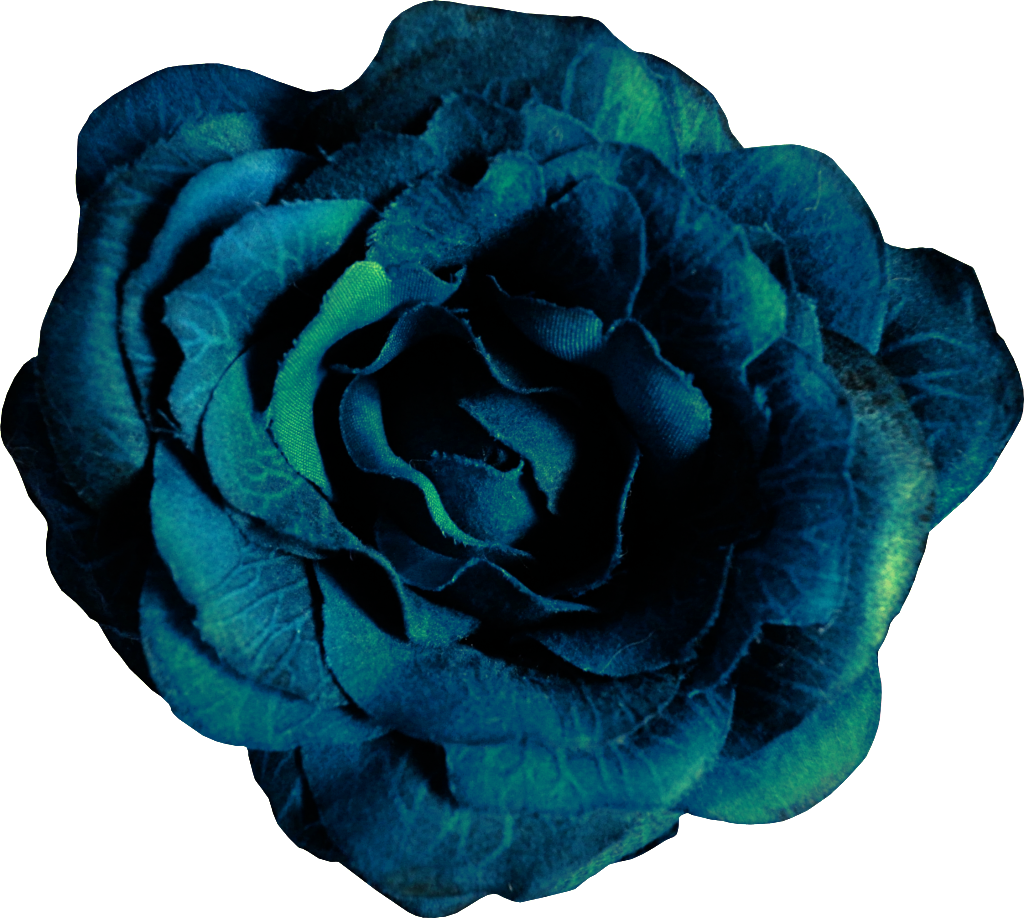 Blue Rose Vector Art PNG Image