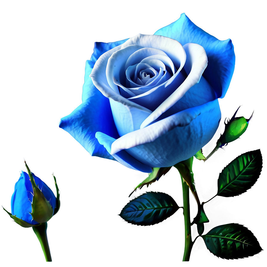 Blue Rose With Thorns Png Dwp PNG Image