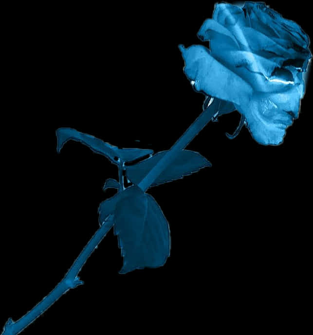 Blue Roseon Black Background PNG Image