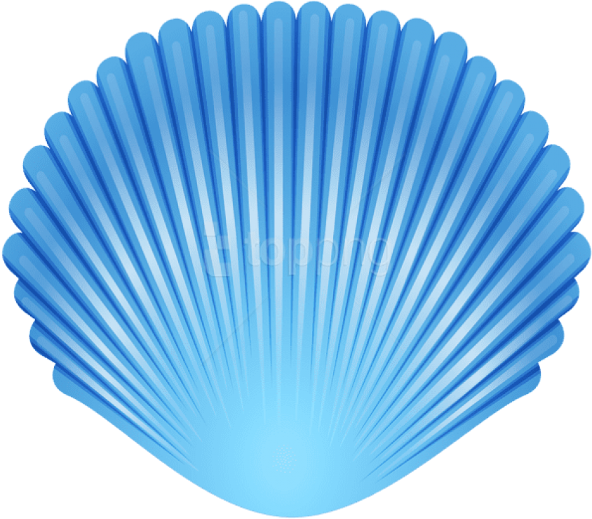 Blue Seashell Graphic PNG Image