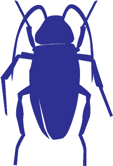 Blue Silhouette Cockroach PNG Image