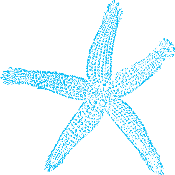 Blue Starfish Clipart Graphic PNG Image