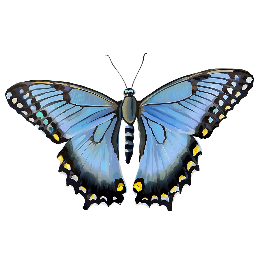 Blue Swallowtail Butterfly Png 13 PNG Image