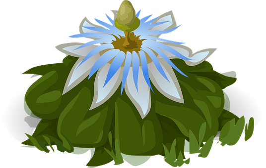 Blue White Flower Illustration PNG Image