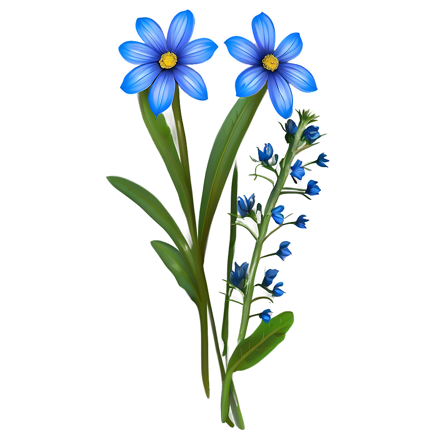 Blue Wildflower Png Brp PNG Image