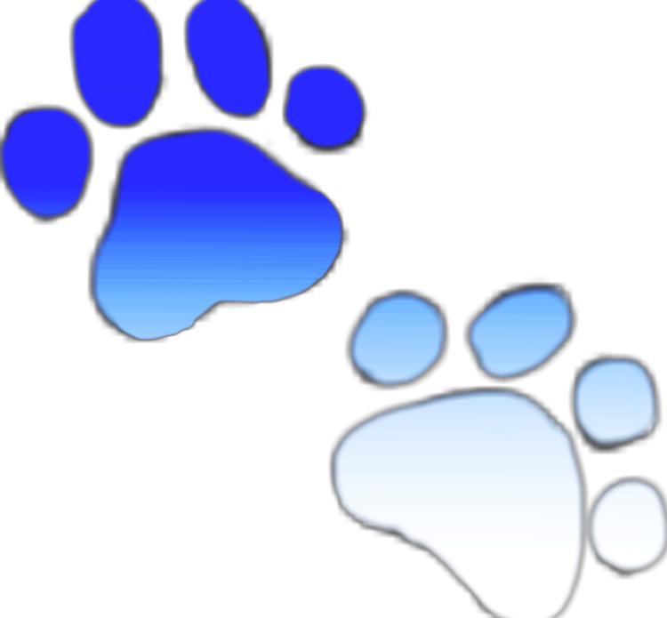 Blueand White Paw Prints PNG Image