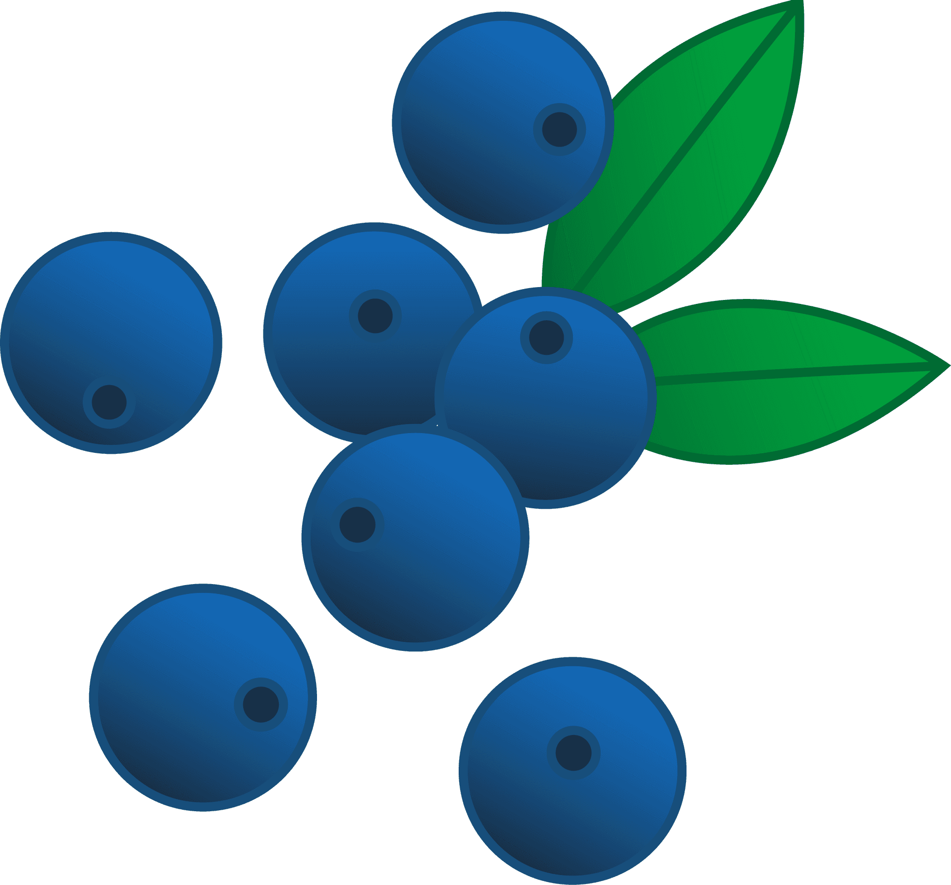 Blueberries Clipart PNG Image