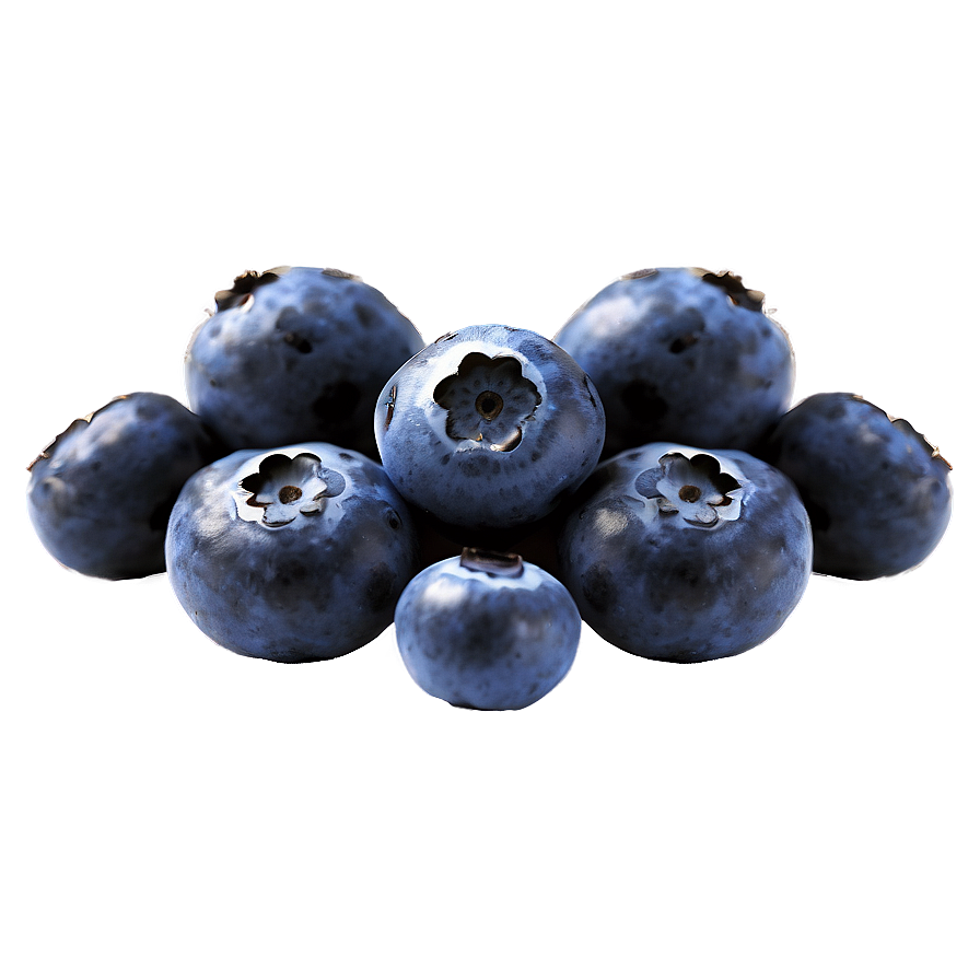 Blueberries In Sunlight Png 05242024 PNG Image