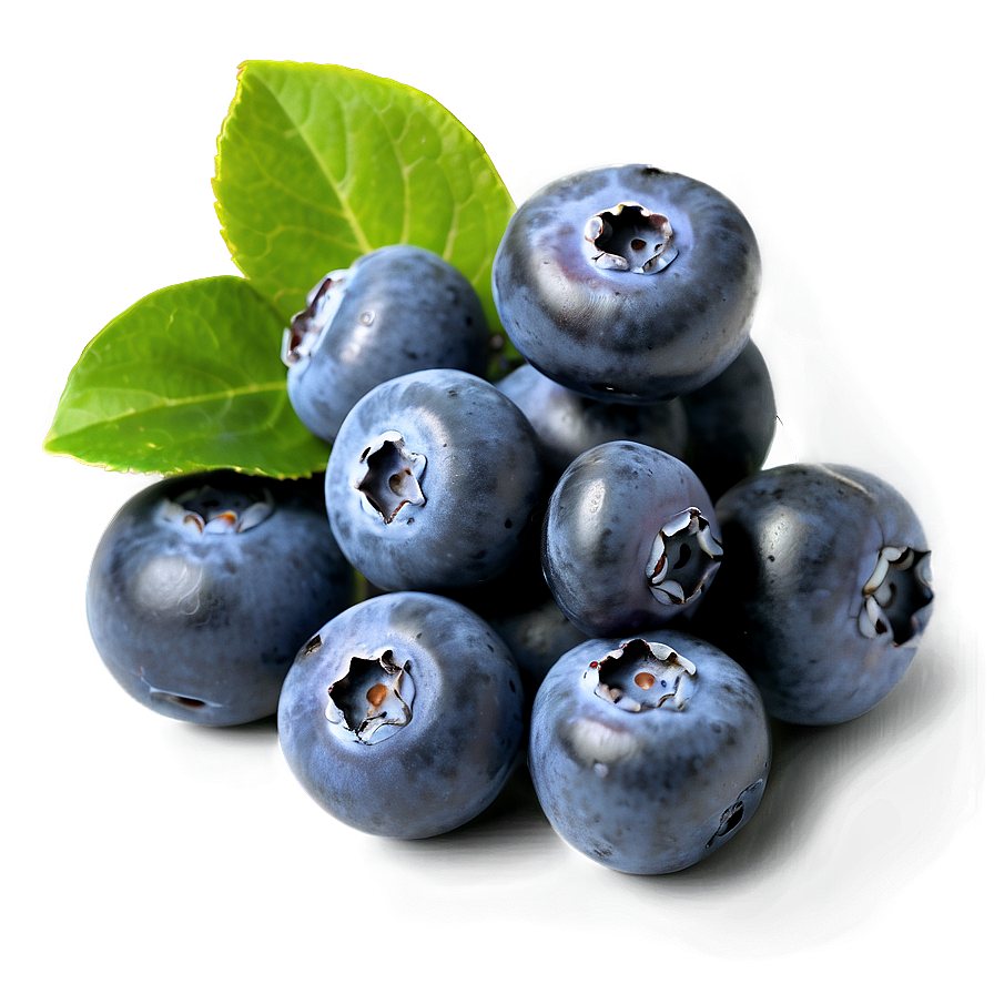 Blueberries On White Png Hqn PNG Image