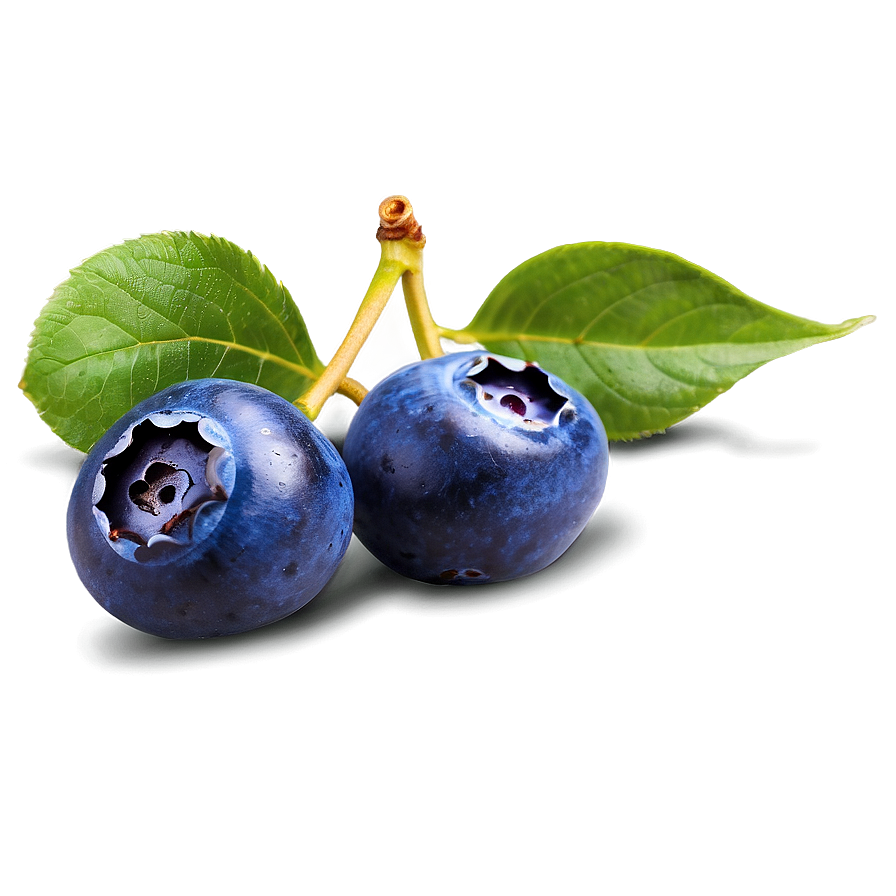 Blueberry Background Png Kvv99 PNG Image