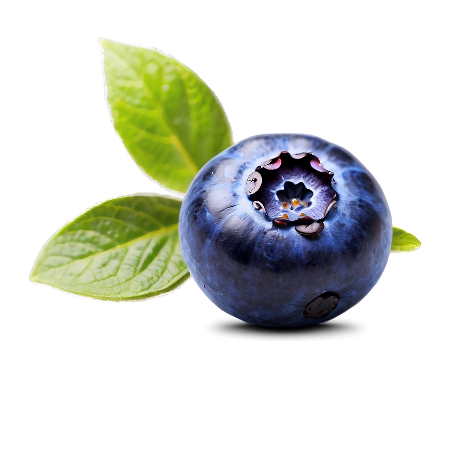 Blueberry Beverage Accent Png 05212024 PNG Image